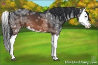 Horse Color:Brown Ice Splash