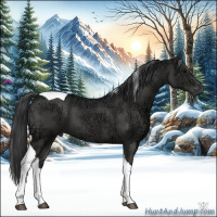 Horse Color:Black Ice Tobiano 