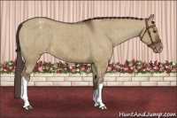 Horse Color:Liver Red Dun Appaloosa Brindle