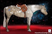 Horse Color:White Spotted Silver Grullo 