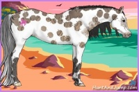 Horse Color:Brown Ice Dun Splash Tobiano Frame 