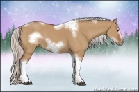 Horse Color:Silver Bay Dun Sabino Tobiano Frame Rabicano