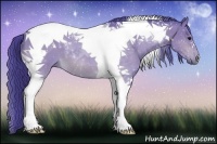 Horse Color:Watercolor Buckskin Tobiano 