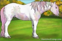 Horse Color:Nacre Watercolor Bay Dun Tobiano Rabicano 