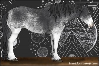 Horse Color:White Spotted Black Sabino