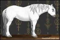 Horse Color:Black Sabino Frame