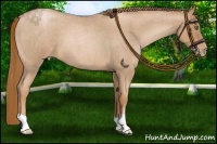 Horse Color:Red Roan Pearl 