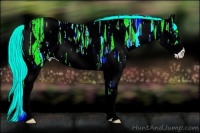 Horse Color:Perlino Ice Sabino Splash 