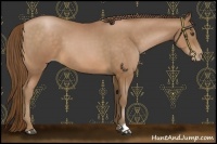 Horse Color:Brown Pearl 