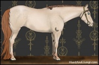 Horse Color:Buckskin Pearl 