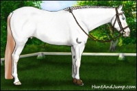 Horse Color:Buckskin Roan Pearl Dun Appaloosa  and Buckskin Roan Pearl Dun Splash Appaloosa 