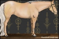 Horse Color:Silver Bay Pearl 