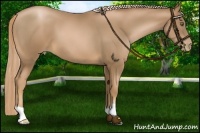 Horse Color:Liver Chestnut Pearl 