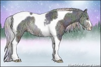 Horse Color:Nacre Silver Brown Chinchilla Ice Sabino Tobiano Rabicano