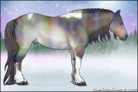 Horse Color:Nacre Brown Chinchilla Tobiano