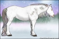 Horse Color:Nacre Brown Chinchilla Sabino Rabicano 