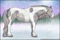 Horse Color:Nacre Silver Grullo Chinchilla Ice Splash Tobiano Rabicano