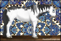 Horse Color:White Spotted Black Splash Frame 