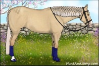 Horse Color:Silver Classic Champagne Dun Splash Frame