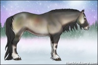 Horse Color:Smoky Blue Onyx Rabicano