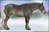 Horse Color:Liver Chestnut Rabicano