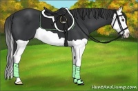 Horse Color:Black Splash