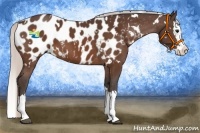 Horse Color:White Spotted Silver Bay Splash Appaloosa 