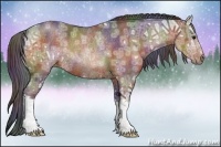 Horse Color:Nacre Brown Ice Rabicano 