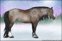 Horse Color:Brown Sabino 