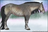 Horse Color:Brown Ice Onyx 