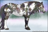 Horse Color:Nacre White Spotted Black Ice Rabicano 