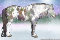 Horse Color:Nacre White Spotted Black Sabino