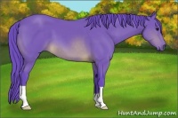 Horse Color:Watercolor Buckskin 