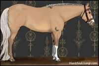 Horse Color:Chocolate Silver Buckskin