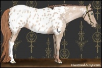 Horse Color:Chocolate Smoky Black Pearl Near Leopard