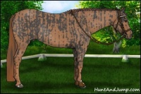 Horse Color:Smoky Blue Roan Rabicano  and Red Roan Rabicano 