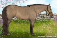 Horse Color:Liver Red Dun Sabino Rabicano