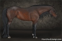 Horse Color:Brown 