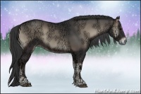 Horse Color:Blue Onyx Ice Sabino