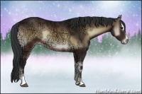 Horse Color:Brown Ice Onyx Sabino