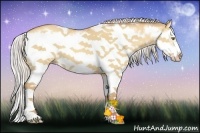 Horse Color:White Spotted Silver Amber Champagne Dun Splash Frame 