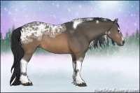 Horse Color:Buckskin Ice Sabino Tobiano Rabicano 