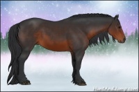 Horse Color:Brown Rabicano