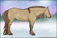 Horse Color:Liver Red Dun Sabino Rabicano 