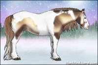 Horse Color:Liver Red Onyx Sabino Splash Tobiano Rabicano