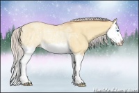 Horse Color:Silver Amber Champagne Ice Dun Splash Rabicano