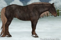 Horse Color:Liver Chestnut Ice Rabicano 