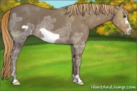Horse Color:Chestnut Ice Frame