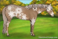 Horse Color:Chocolate Palomino Ice