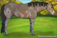 Horse Color:Bay Ice Frame 